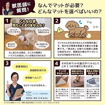 Amazon.co.jp: サンコー おくだけ吸着 獣医師推奨 ペット用撥水